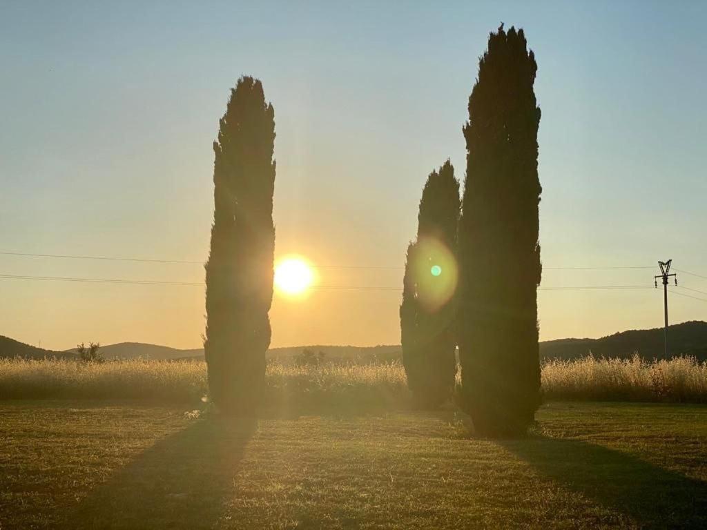 Casale Artemisia Capalbio Bed & Breakfast Екстериор снимка